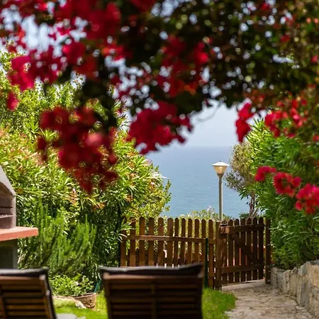 Bougainville *